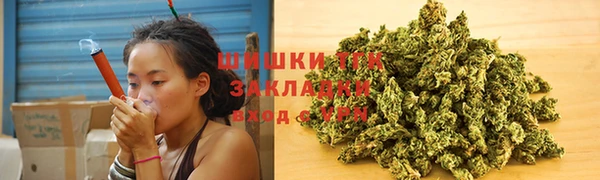 ГАЛЛЮЦИНОГЕННЫЕ ГРИБЫ Алзамай