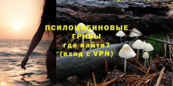 ГАЛЛЮЦИНОГЕННЫЕ ГРИБЫ Алзамай