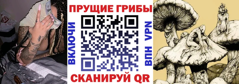 Галлюциногенные грибы Psilocybine cubensis Ижевск