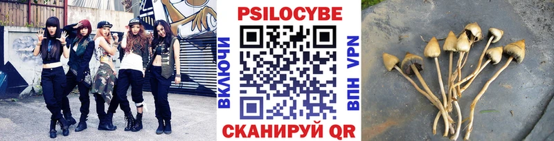 где продают   Ижевск  Псилоцибиновые грибы MAGIC MUSHROOMS 